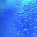Water bubbles 1280Miscellaneous614